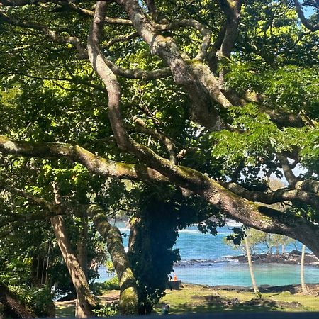 Ocean View Mauna Loa Shores Kai Ekahi #201 Next To Carlsmith Beach Park Hilo Hi Exterior foto