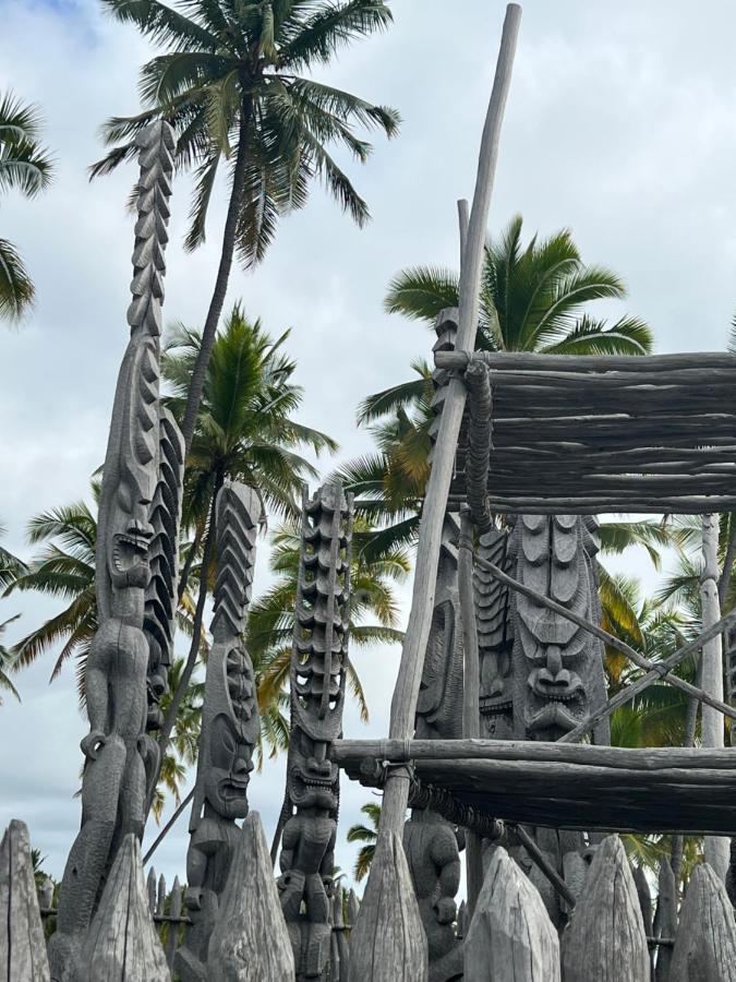 Ocean View Mauna Loa Shores Kai Ekahi #201 Next To Carlsmith Beach Park Hilo Hi Exterior foto
