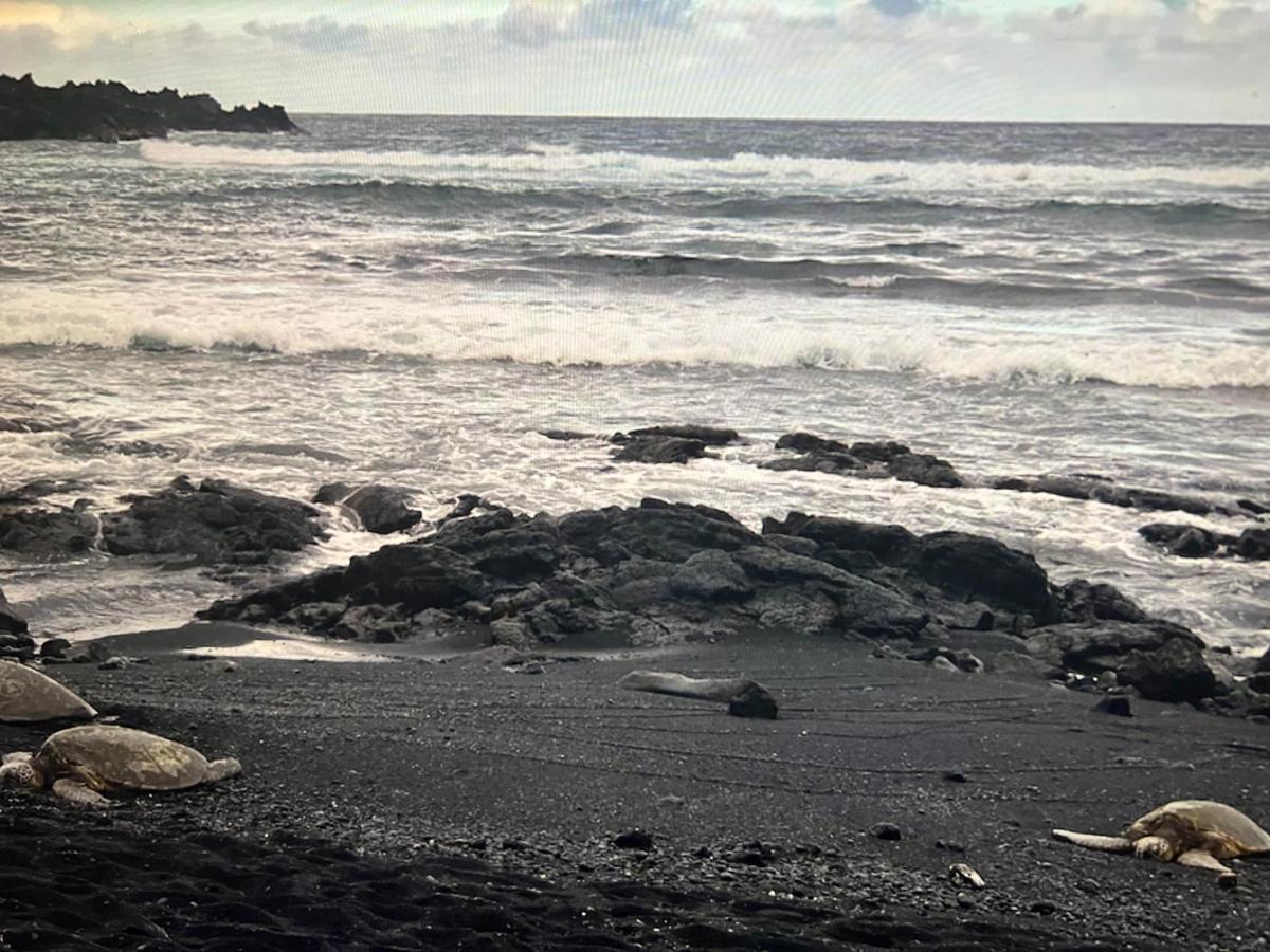 Ocean View Mauna Loa Shores Kai Ekahi #201 Next To Carlsmith Beach Park Hilo Hi Exterior foto
